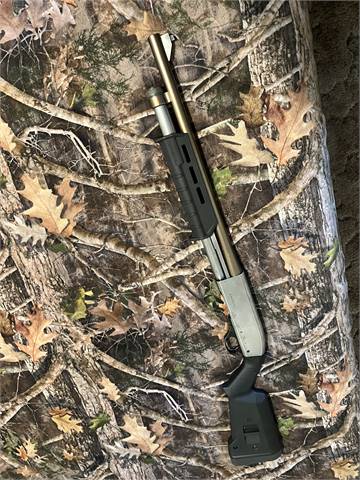 Norinco 98 12g with magpul stock