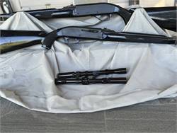 Remington Nylon66 Black Diamond Apache --- two for sale