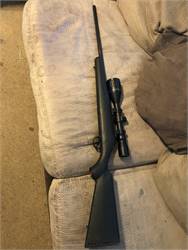 Ruger American rifle 