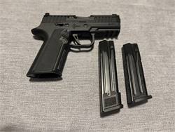 P320 Custom Build