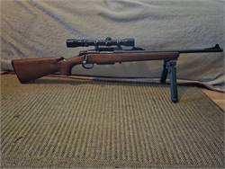 2 Bolt Rifles with scopes 