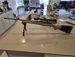 Mossberg Patriot Night Train 308 $600