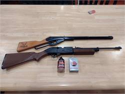 WTS: Crossman Pellet Rifle and Daisy BB Gun