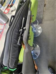 17 mach 2 with ammo