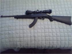 Ruger10-22 Rifle