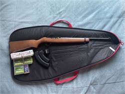 Ruger 10/22 with Extras