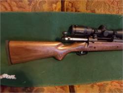 243 Savage Axis