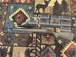 WTT/WTS Mosin scout rifle