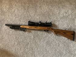Ruger 10/22 Target Model  $550  Ammon