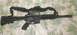 Eagle Arms M15-A2 (CAR / M4 style) or trade for a Mini-14