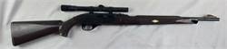 Remington Nylon 66  22 LR #1615