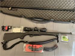 Ruger 10/22