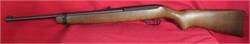 Ruger 10-22 Rifle