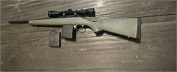 RUGER AMERICAN 308 WIN